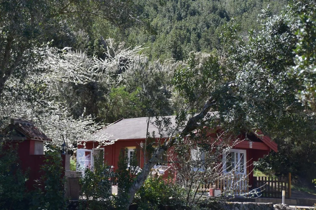 Casa Rural La Gustoza Sauzal Country house